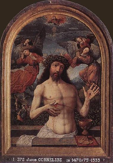 CORNELISZ VAN OOSTSANEN, Jacob Man of Sorrows oil painting image